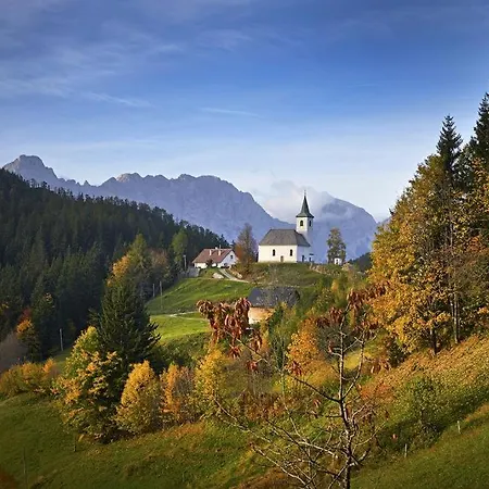 Shepherds House 